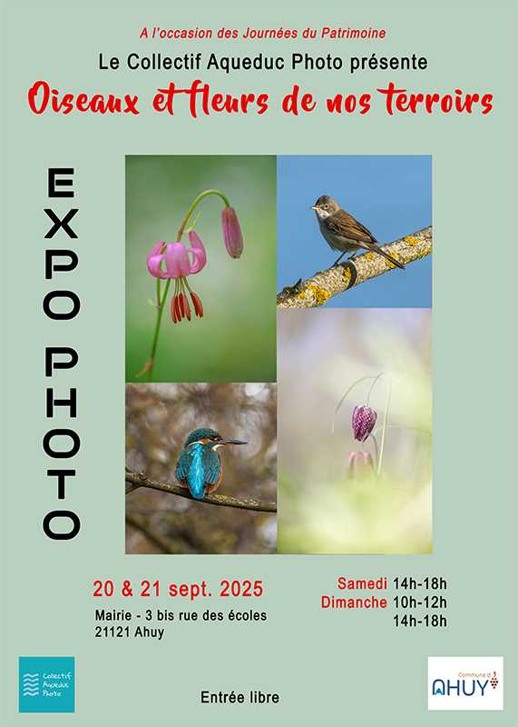 Exposition « Oiseaux et fleurs de nos terroirs »