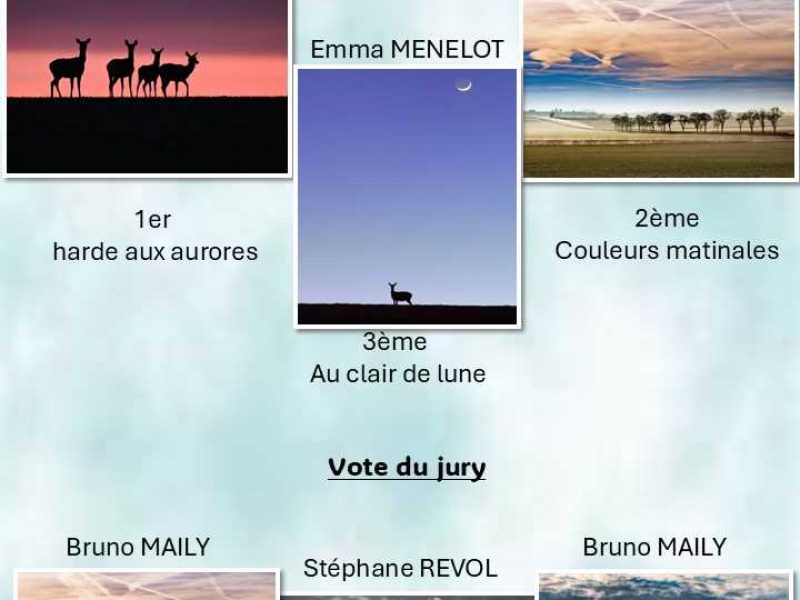 Résultat concours « La lumière »