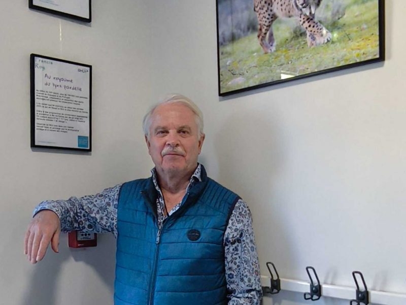Exposition « Au royaume du lynx pardelle » – Bibliothèque d&rsquo;Ahuy